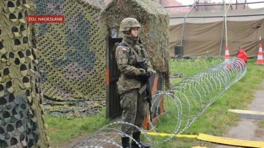 Anakonda w natarciu