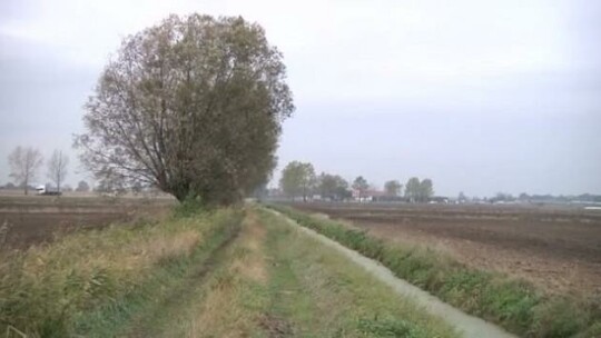 Będą pieniądze na Żuławy