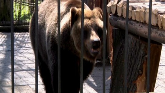 Braniewskie ZOO rozpoczyna nowy sezon