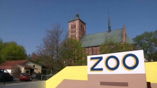 Co dalej z braniewskim ZOO? 