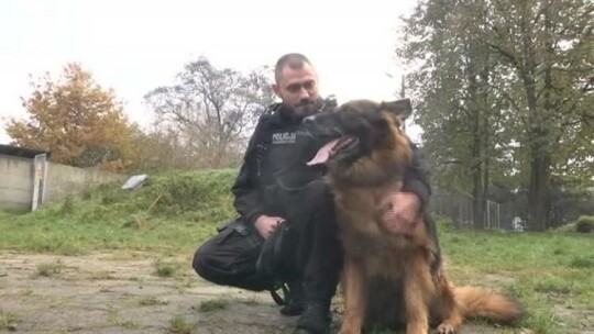 Czworonożny funkcjonariusz przechodzi na emeryturę [+wideo]