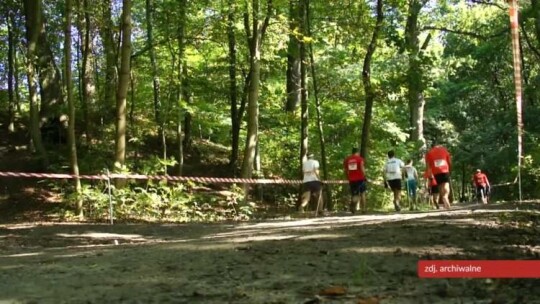 Darmowe zajęcia Nordic Walking
