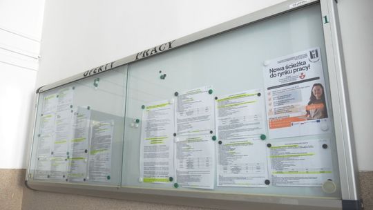 Dla kogo praca w Elblągu? Są najnowsze oferty