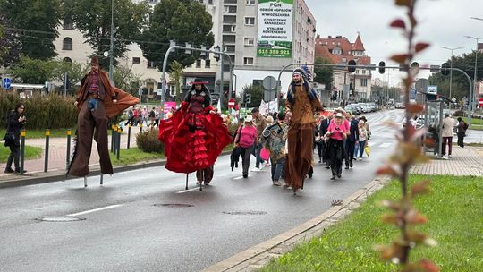Elbląg należy do seniorów. Za nami kolorowy przemarsz [WIDEO]