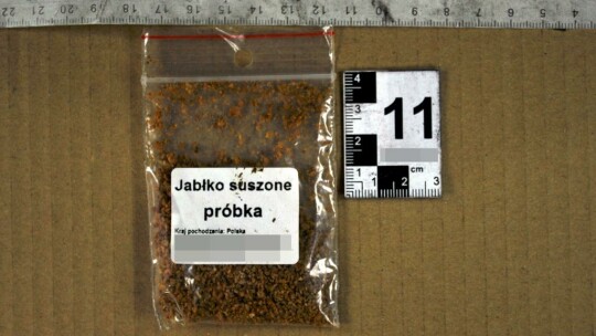 Elbląg: Pokrzywa, suszone jabłka i dzika róża – z tych substancji miał robić „dopalacze". Policjanci zabezpieczyli także prawdziwe narkotyki – amfetaminę
