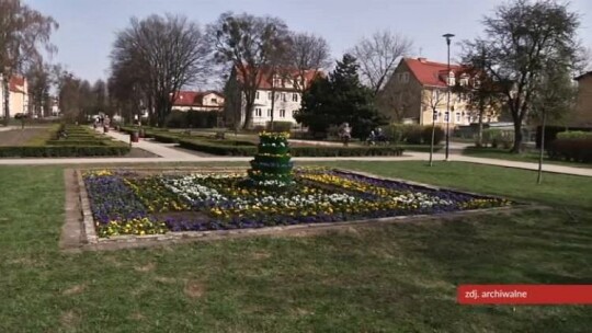 Elbląg rozkwita