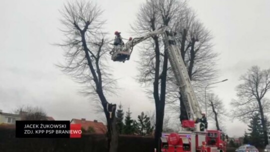 Elbląg. Wiadomości Truso.TV 03.01.2019