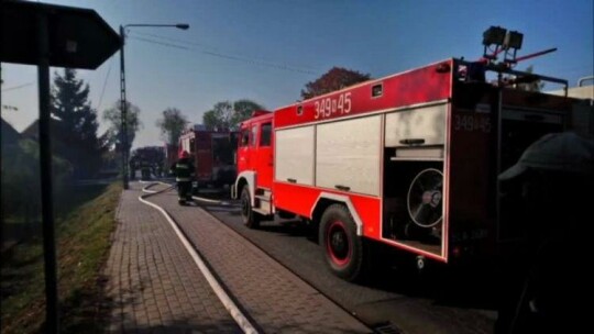 Elbląg. Wiadomości Truso.TV 18.10.2018