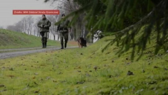 Elbląg. Wiadomości Truso.TV 21.02.2018