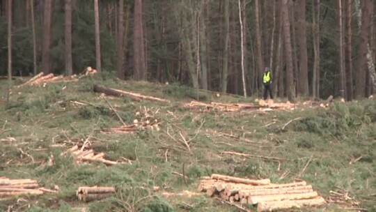 Elbląg. Wiadomości Truso.TV 25.02.2019