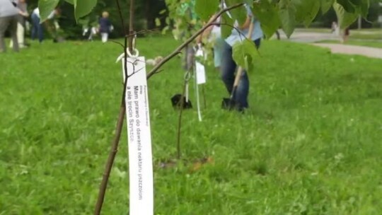 "Elbląg wierzy, że pomoże Białowieży"