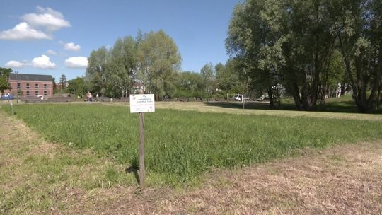 Elbląg.Wiadomości Truso.TV 23.05.2022