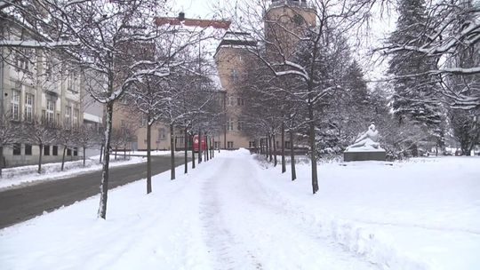 Elbląg.Wiadomości Truso.TV 23.12.2021