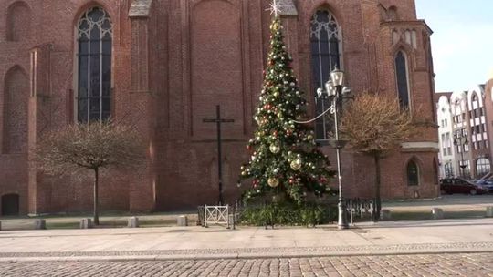 Elbląg.Wiadomości Truso.TV 29.11.2021