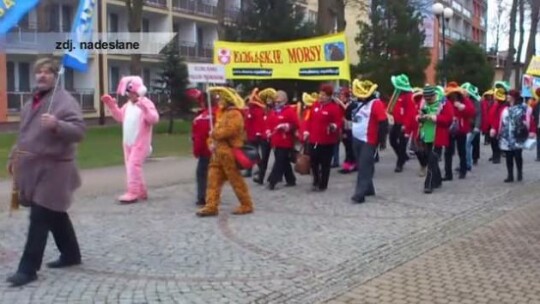 Elbląskie morsy na zlocie w Mielnie