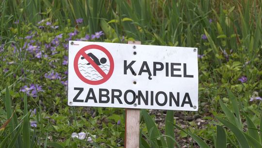 Fontanny miejskie to nie miejsce przeznaczone do kąpieli