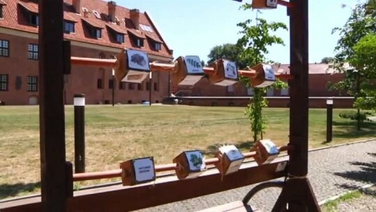 Historia lasu w muzeum 