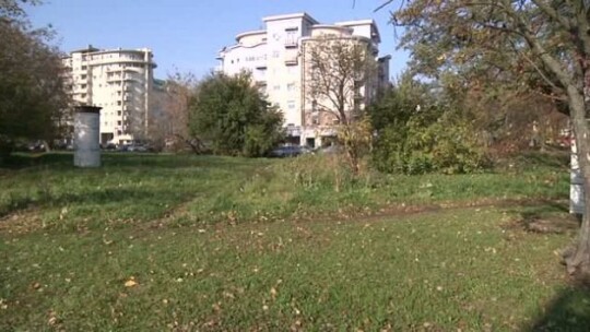 Ibis znosi złote jajka
