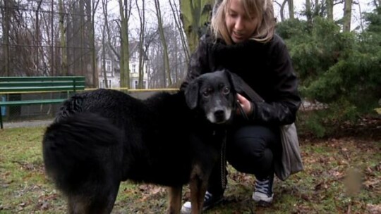 IV gala Animalsów z Braniewa 