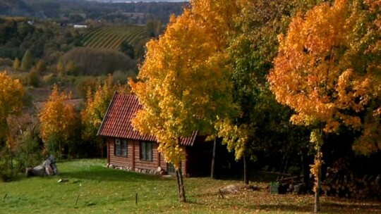 Krajobraz na wyciągnięcie ręki