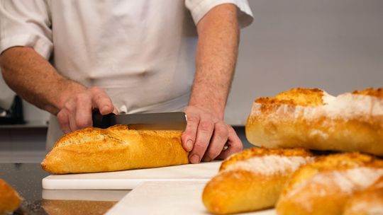 Kto znajdzie pracę w Elblągu? Najnowsze oferty pracy