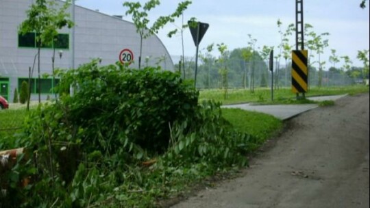 Łąkowa będzie jak nowa 