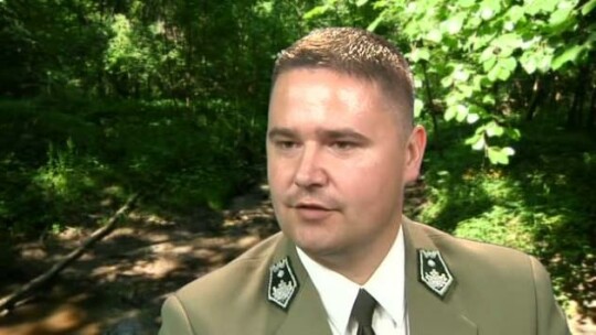 Leśny festyn