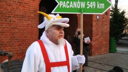 Matołek szuka Pacanowa 