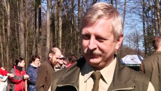 Na Marginesie o lasach