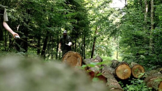 Nagroda prezydenta Elbląga - Ochrona Środowiska 