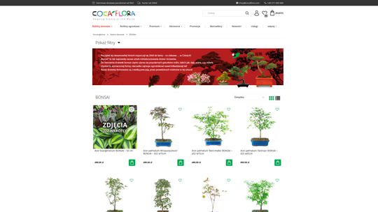 Najczęstsze błędy w uprawie bonsai: jak ich unikać?