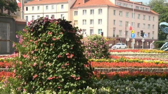 Najpiękniej ukwiecone miasto w Polsce – głosuj na Elbląg!