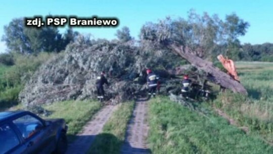 Nawałnice przeszły przez Braniewo