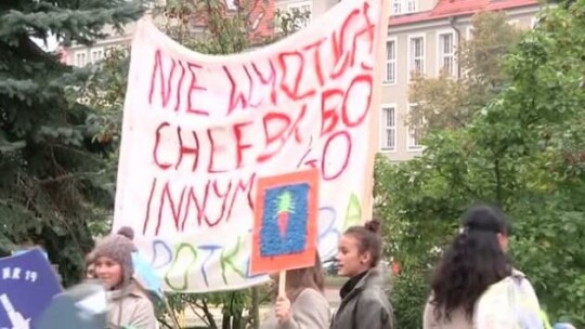 „Nie rzucaj mięsem!...do kosza”
