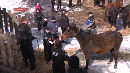 Nie zapadł wyrok w sprawie Stefana D. z Cielętnika (gm. Braniewo)