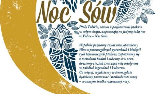 Noc sów 2018