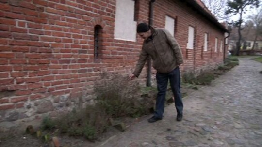 O tym co oko widziało 