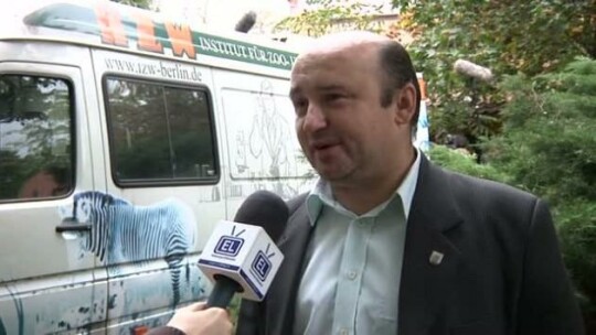 Oddali Michała 