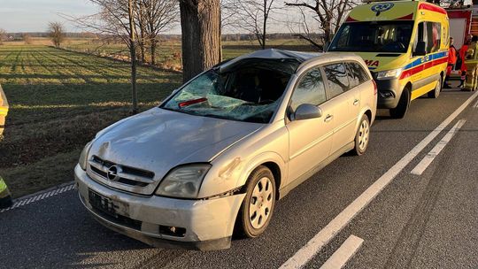 Opel zderzył się z łosiem