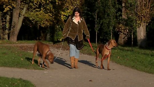 Pani Marzena i dwa Rhodesiany 
