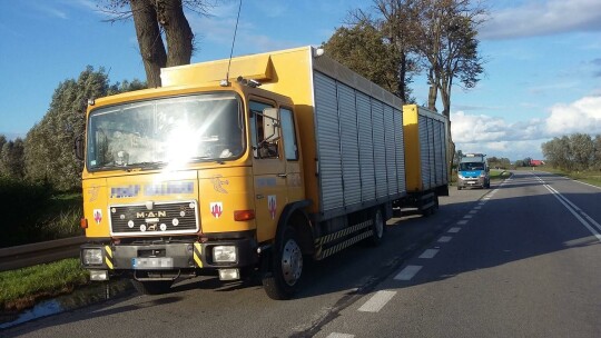 Pijany kierowca ciężarówki przewoził gołębie