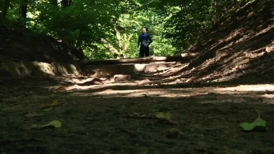 Pobiegną po Puchar Elbląga w Biegu na Orientację