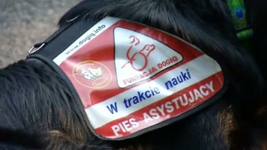 Prestiż dla Kamila