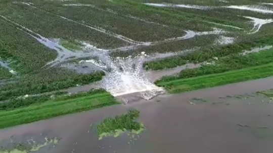 Przerwanie wału przeciwpowodziowego w Świętym Gaju. Służby w gotowości [WIDEO]