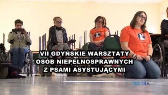 Psy na każdą pogodę