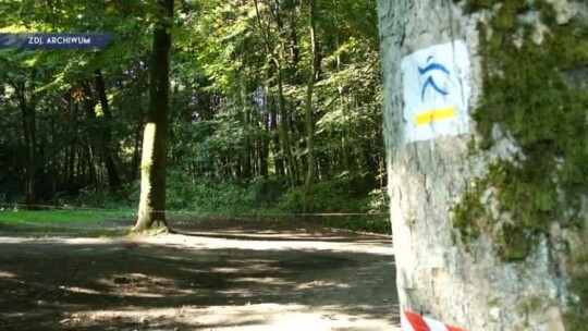 Puchar Świata w Nordic Walking - utrudnienia w ruchu