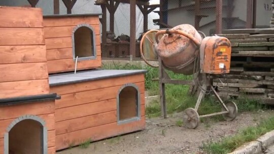 Remont elbląskiego schroniska