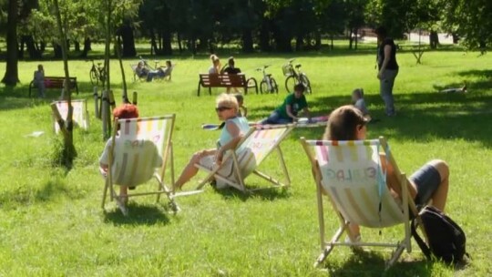 Rodzinna „Sjesta w Parku Modrzewie”