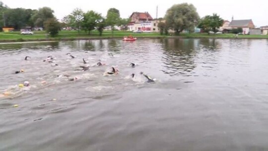 Rzeka Elbląg opanowana przez pływaków