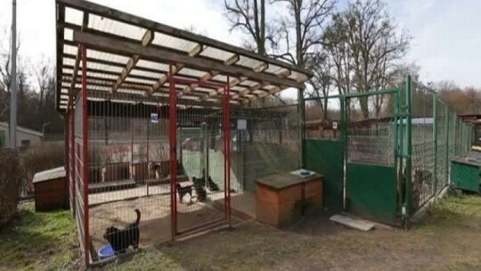 Schronisko potrzebuje wsparcia